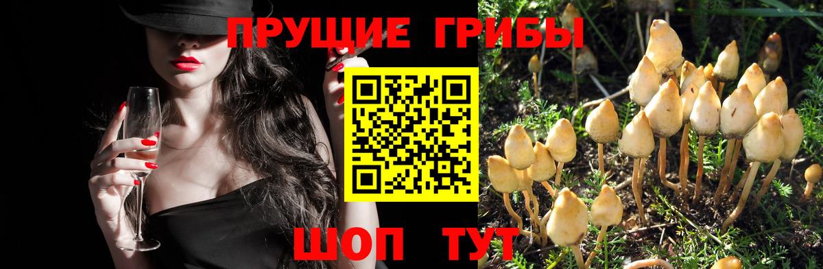 Псилоцибиновые грибы ЛСД Воткинск
