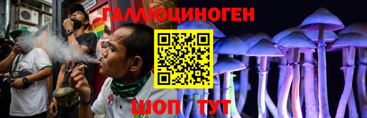 Воткинск  Псилоцибиновые грибы мухоморы  Вход с VPN 